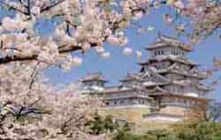 A picture of Himeji Castle.