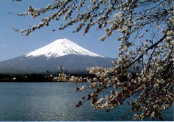 A picture of Mt Fuji.